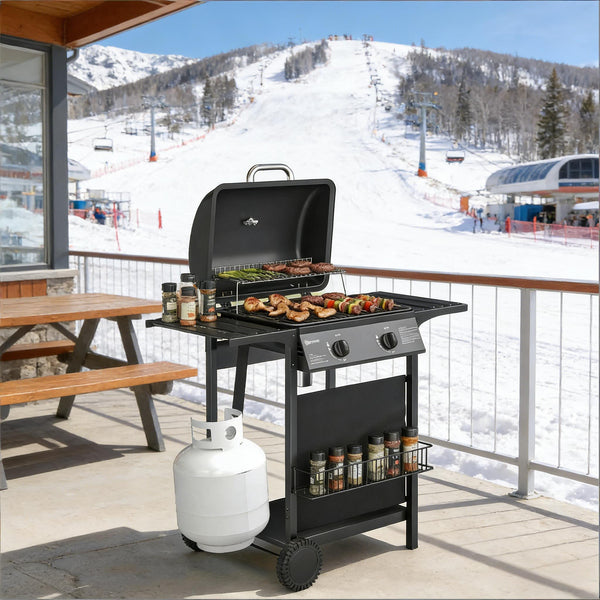 Handy BBQ Grill Gas Grill Outdoor Grill